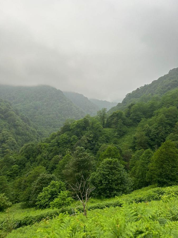 Mtirala Panorama Bed & Breakfast Khala Dış mekan fotoğraf