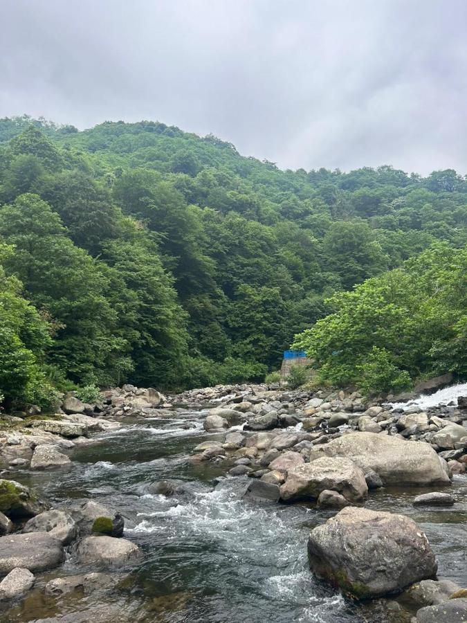 Mtirala Panorama Bed & Breakfast Khala Dış mekan fotoğraf